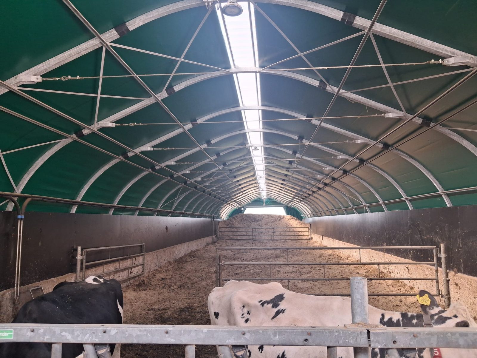 Smart Tentstal als aandachtsgroep op de robot in Bentelo