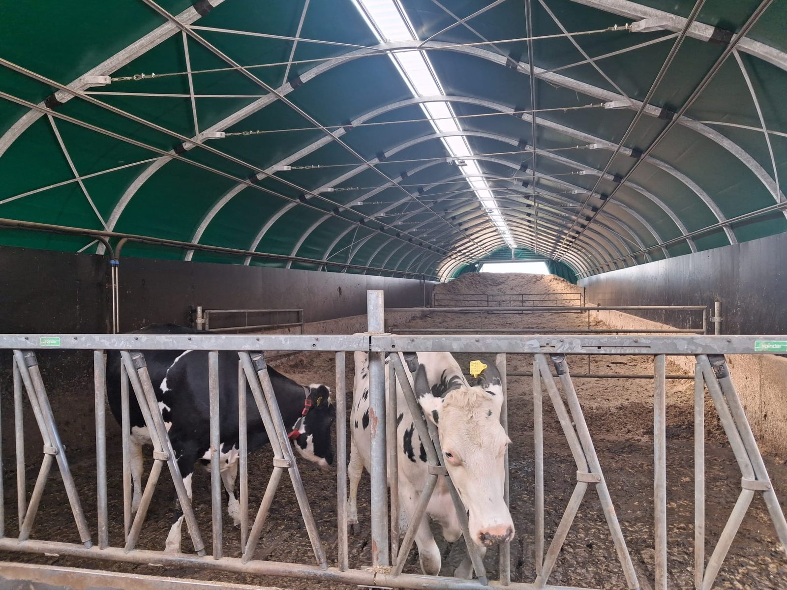 Smart Tentstal als aandachtsgroep op de robot in Bentelo