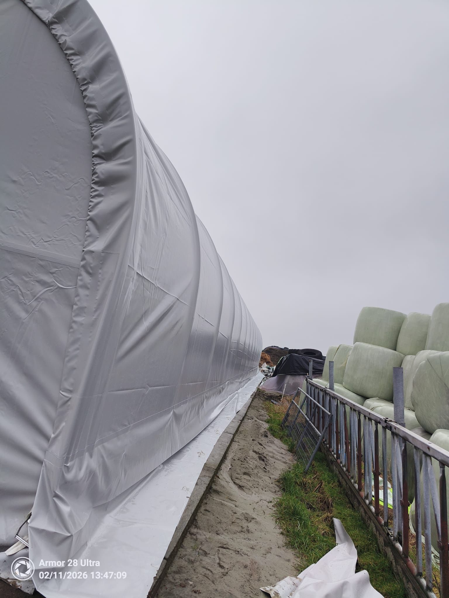 Smart Tentstal voor schapen in Appingedam