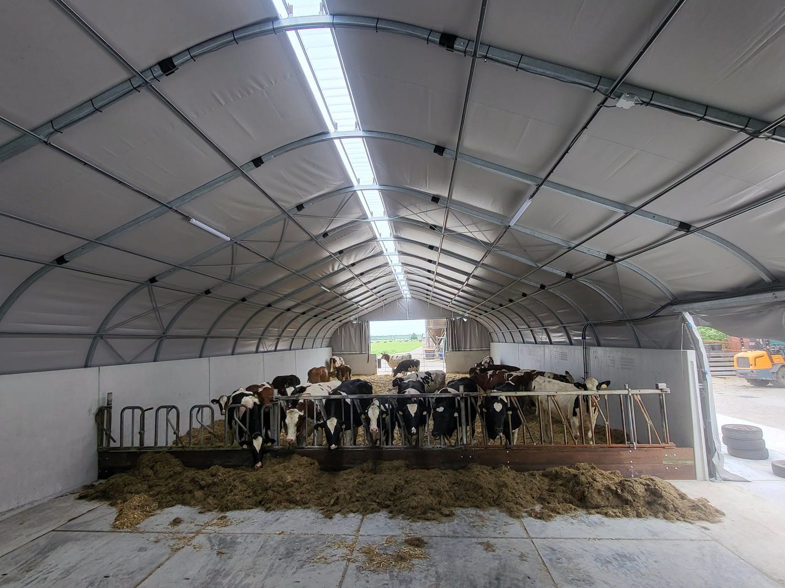 Smart Tentstal voor droge koeien en kalveren in Thesinge